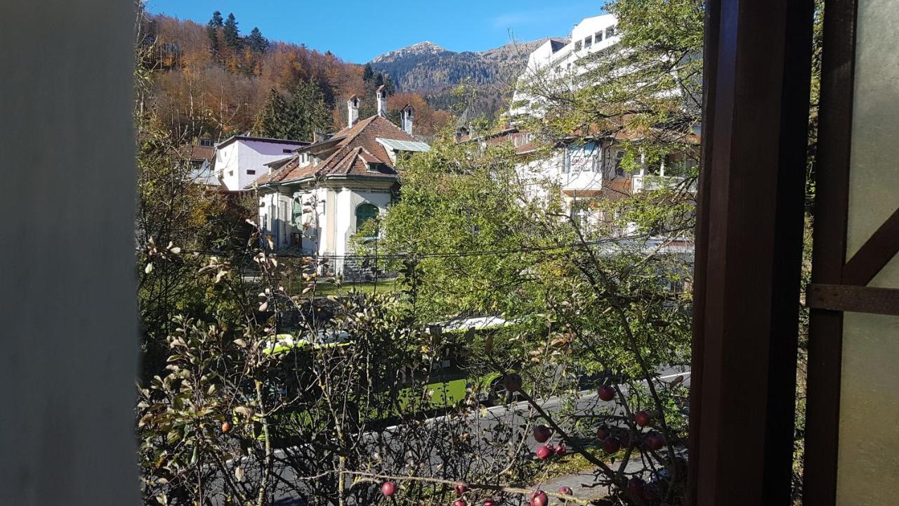 Hotel Pensiunea Casa Noastra Sinaia Esterno foto