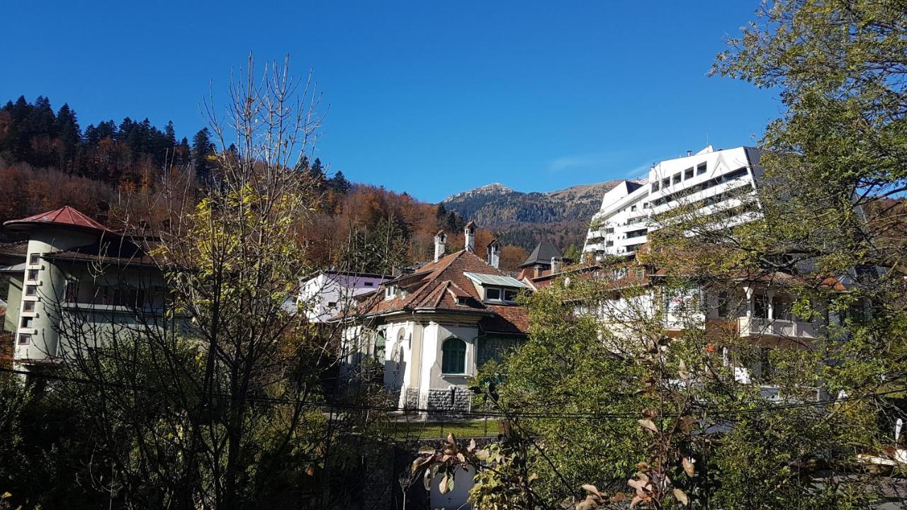 Hotel Pensiunea Casa Noastra Sinaia Esterno foto