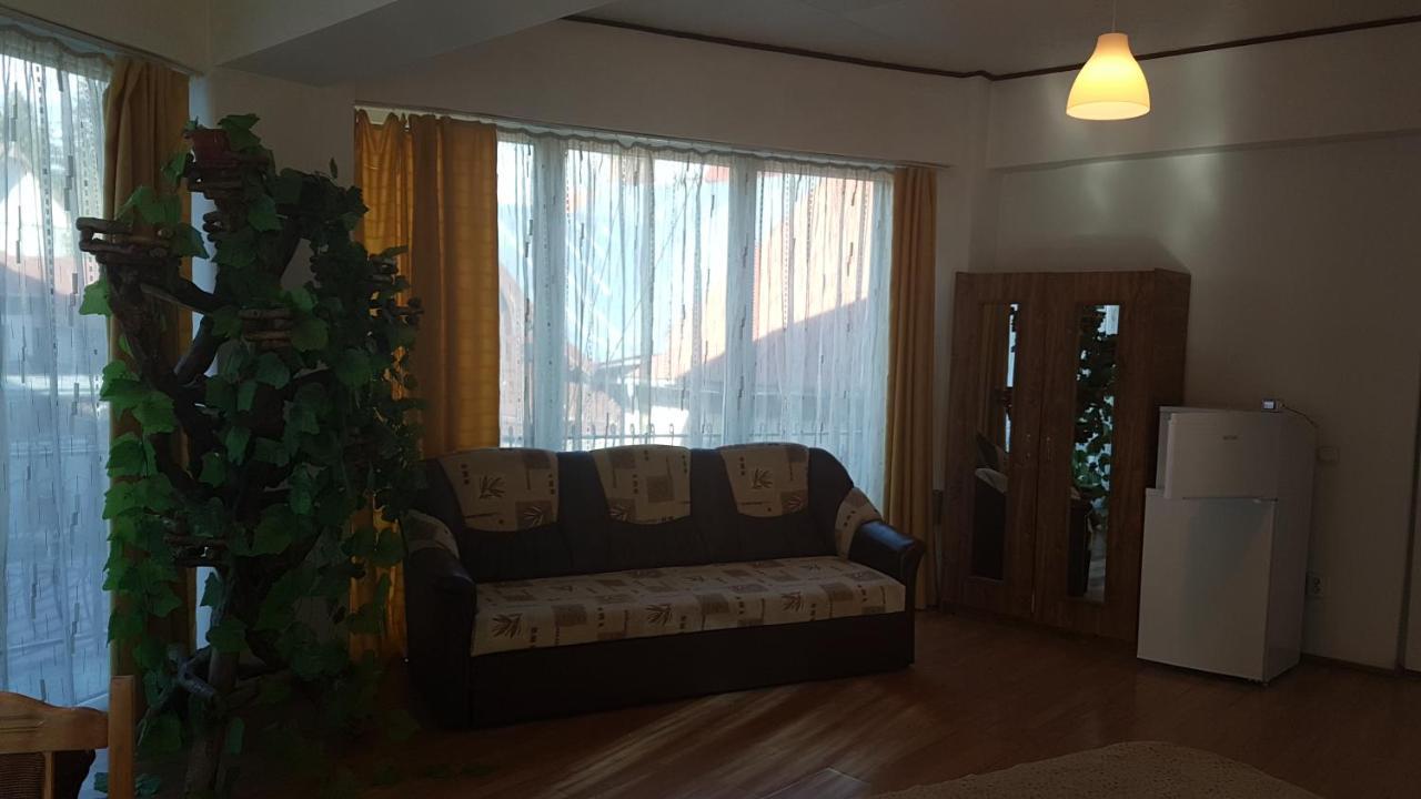 Hotel Pensiunea Casa Noastra Sinaia Esterno foto