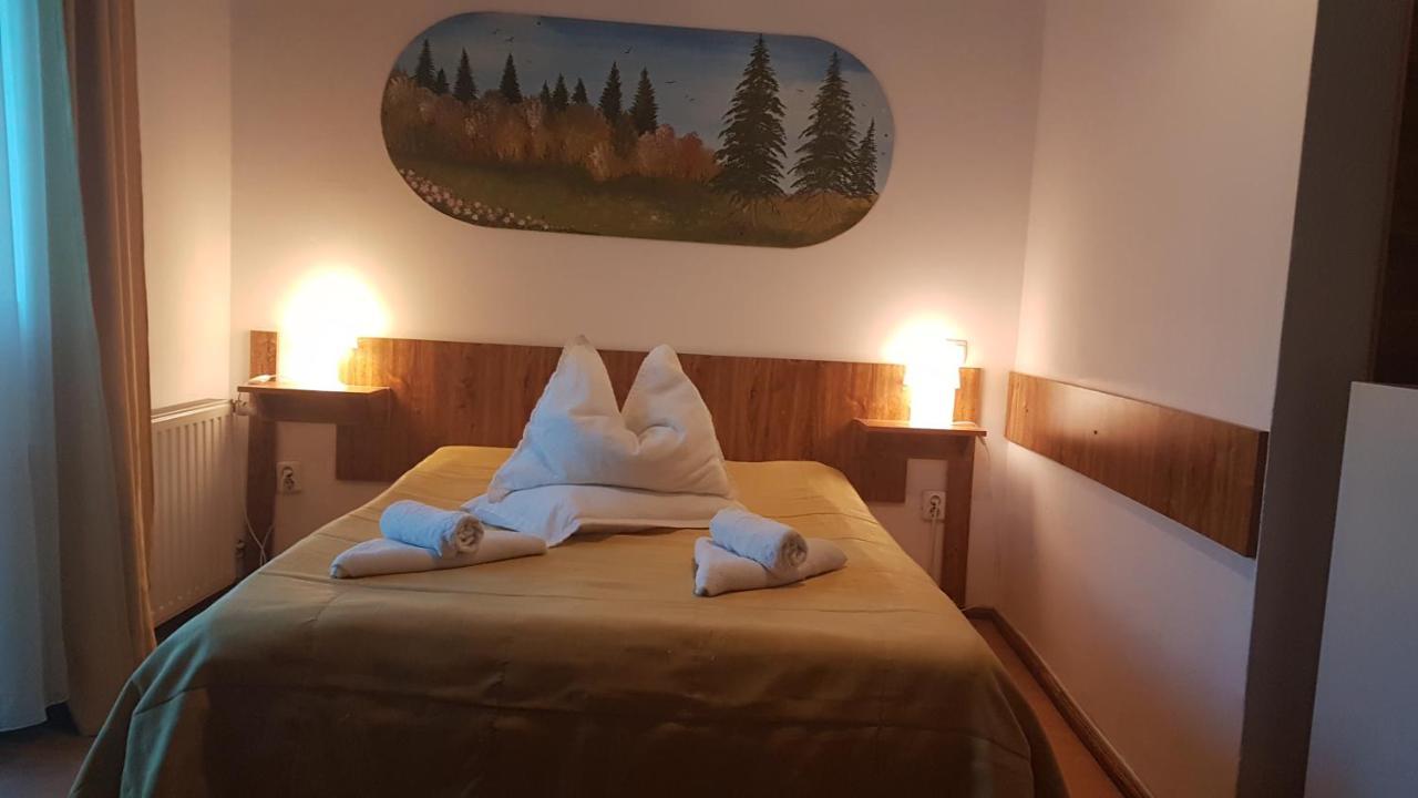Hotel Pensiunea Casa Noastra Sinaia Esterno foto